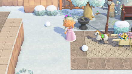 雪玉の出現時期