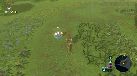 ブレスオブザワイルドの花を踏まないでの攻略1