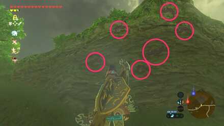 ブレワイのゴーゴーダケGoGo！攻略