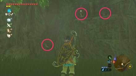 ブレワイのゴーゴーダケGoGo！攻略