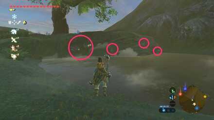 ブレワイのゴーゴーダケGoGo！攻略