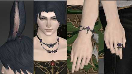 アクセサリ装備