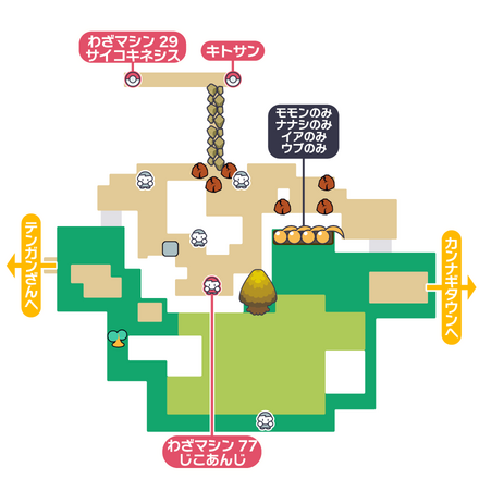 ポケモンダイパリメイクの211番道路・東