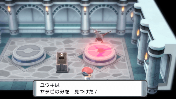 ハマナスパークのヤタピのみ