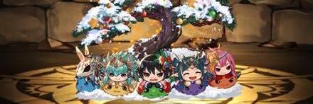 【8148】セリカの聖松盆栽