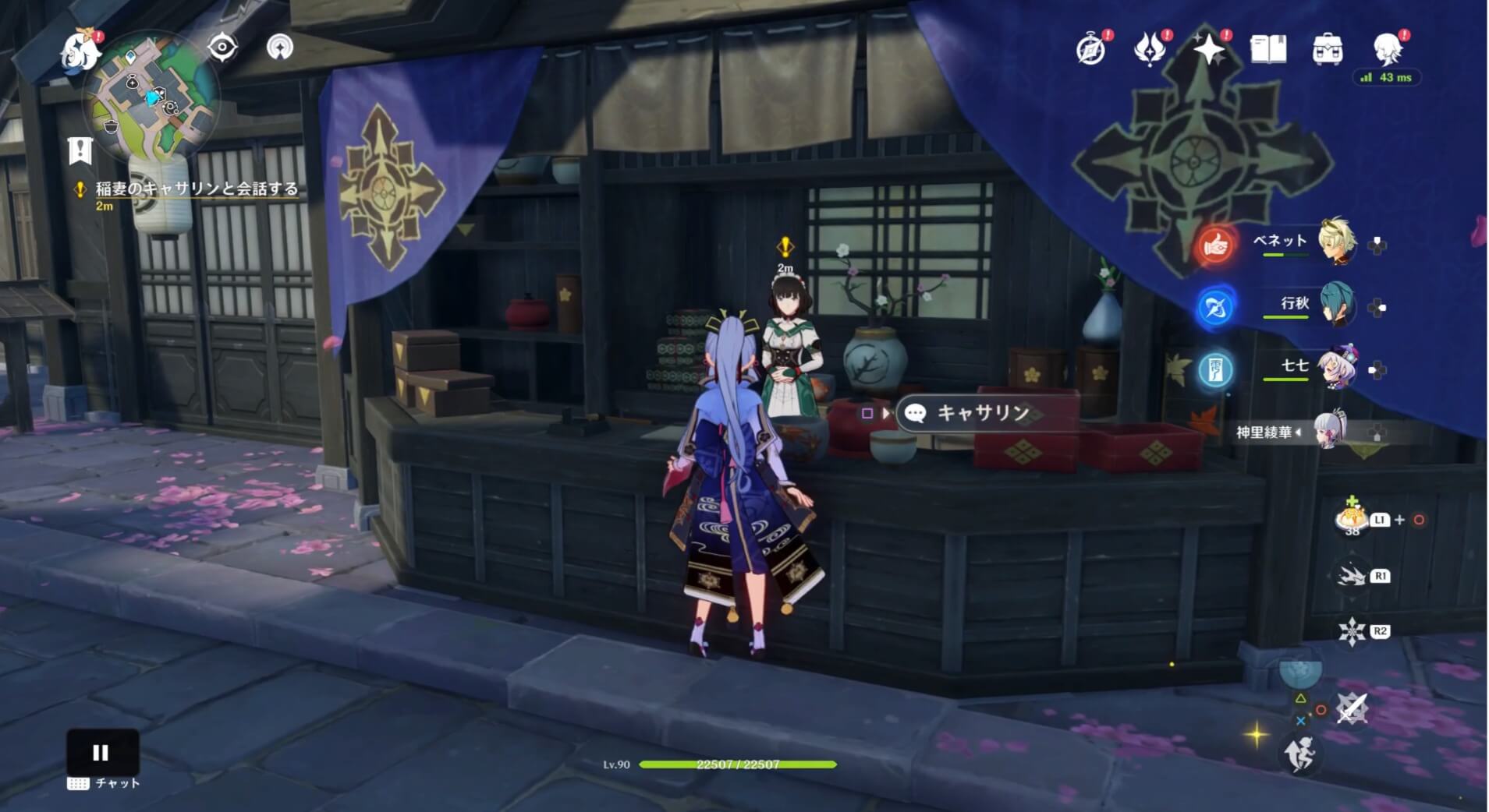 稲妻のキャサリンと会話する