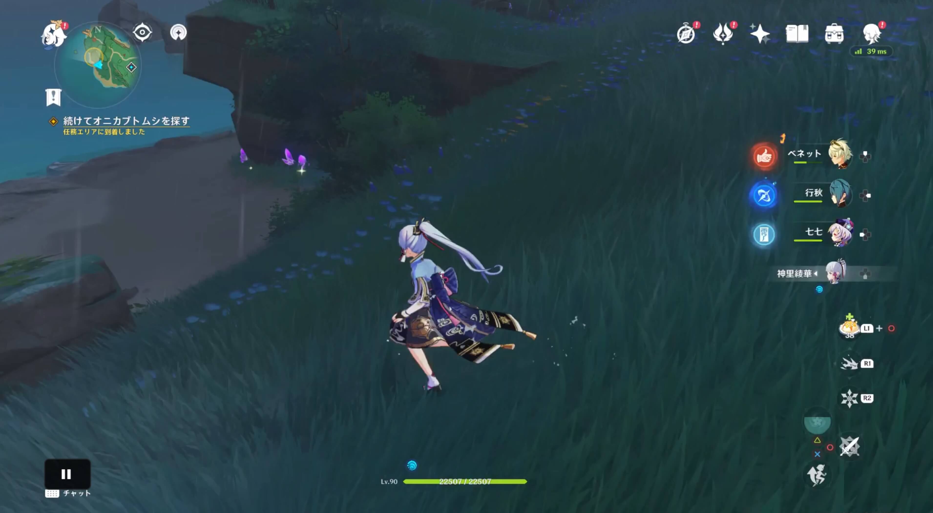 続けてオニカブトムシを探す