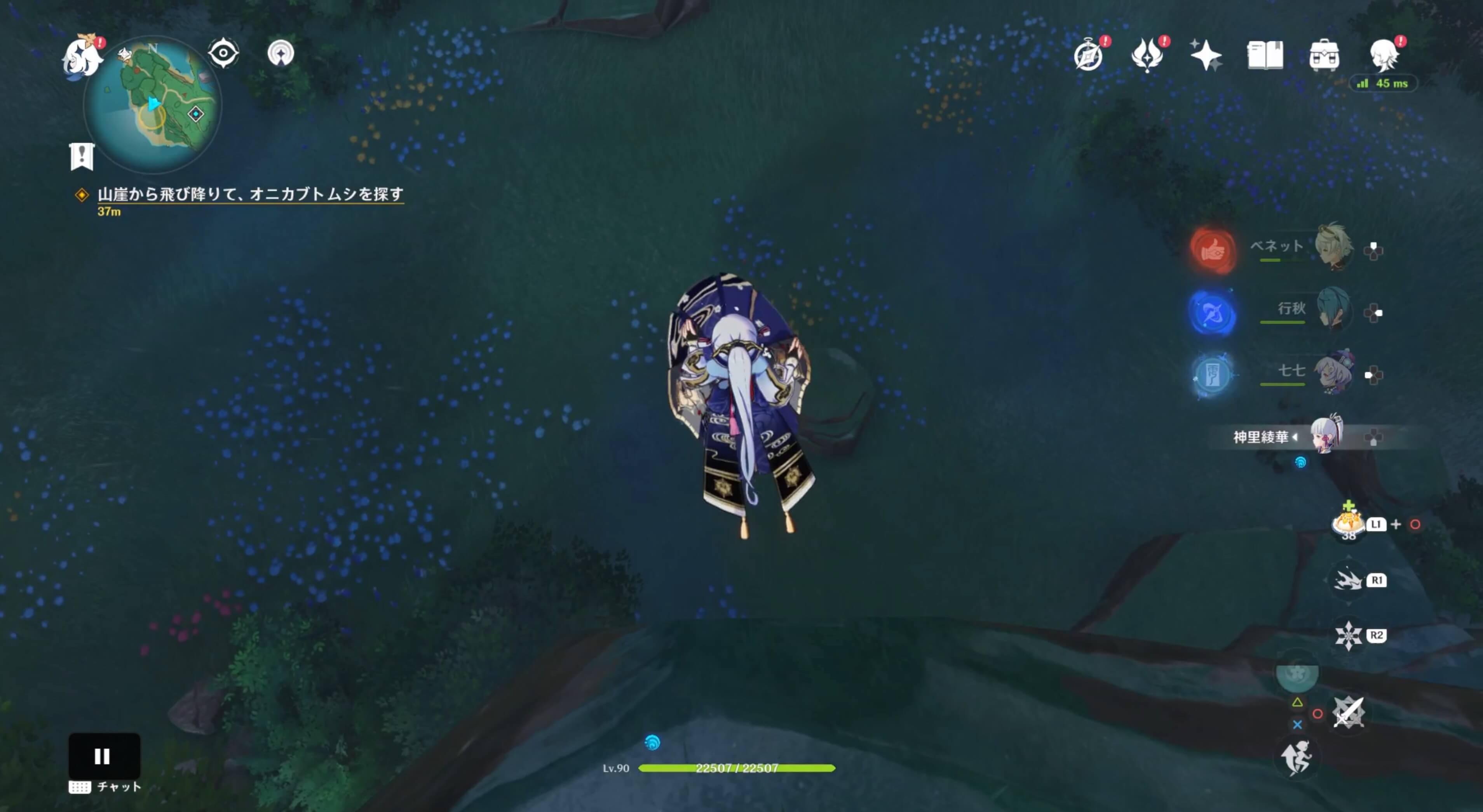 オニカブトムシを探す