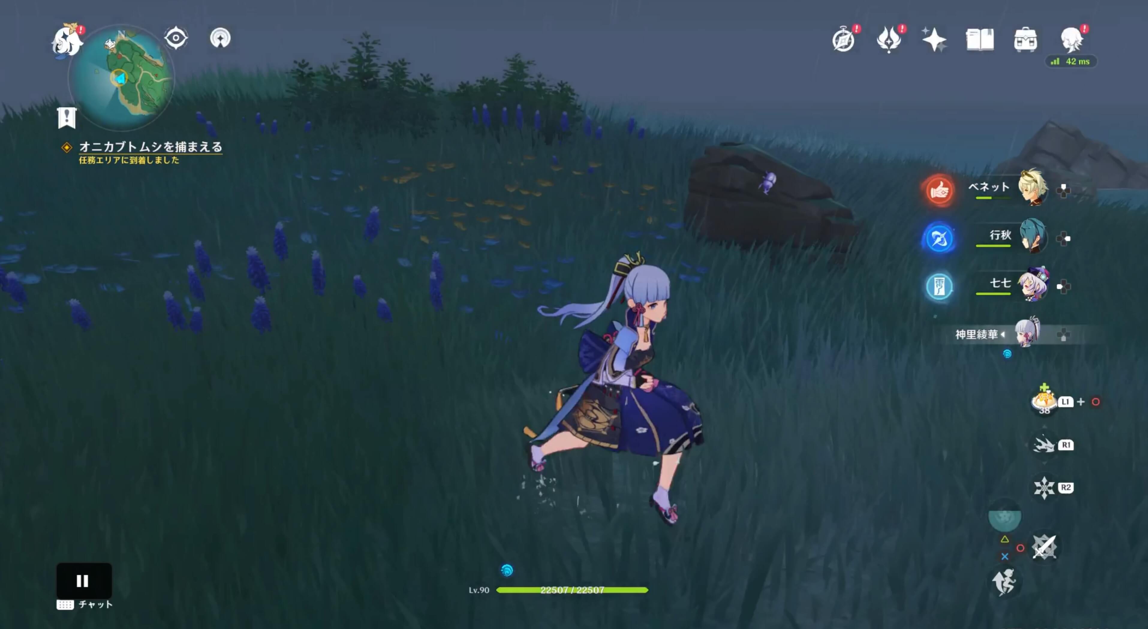 オニカブトムシを捕まえる