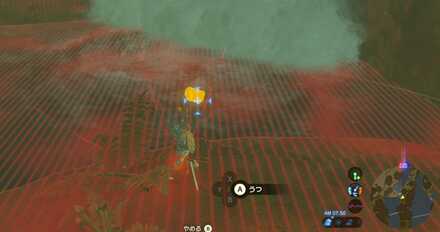 ファントムガノンの頭