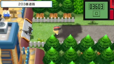 203番道路の画像