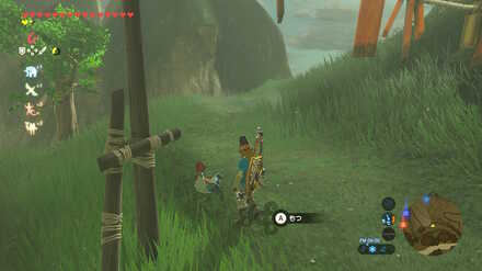 ブレワイの消えたコッコちゃん攻略