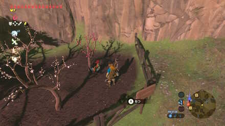 ブレワイの消えたコッコちゃん攻略