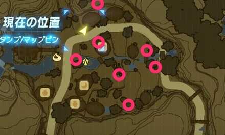 ブレワイの消えたコッコちゃん攻略