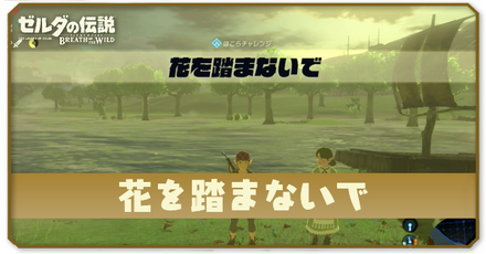 花を踏まないでの場所と攻略