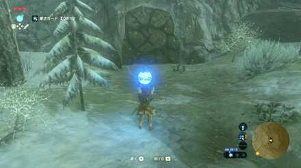 ブレスオブザワイルド三本杉の秘密の攻略画像4