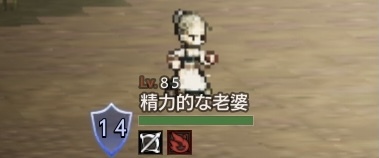 精力的な老婆