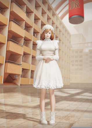 マクロファージ画像