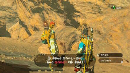 ブレワイの宝石インポーター攻略