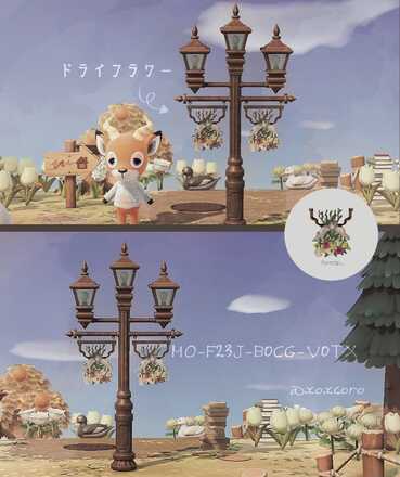 ドライフラワー画像