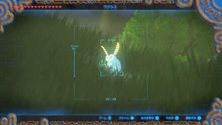 ブレワイのぴかぴかのルミーしれん攻略