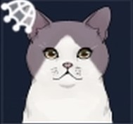 グレースノウ画像