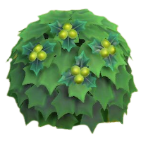 ヒイラギのなえ