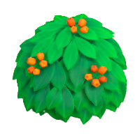 オレンジキンモクセイのなえ