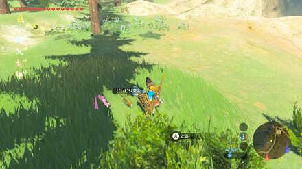 ハイラルのなぞなぞしれん攻略