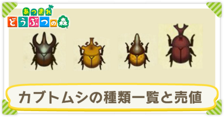 カブトムシの種類一覧と売値