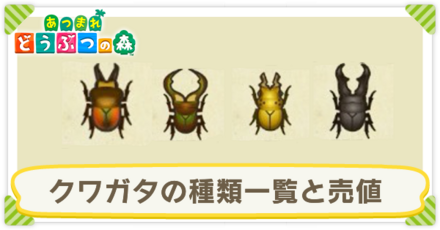 クワガタの種類一覧と売値