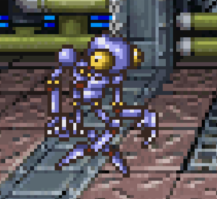 モトルトラップ画像