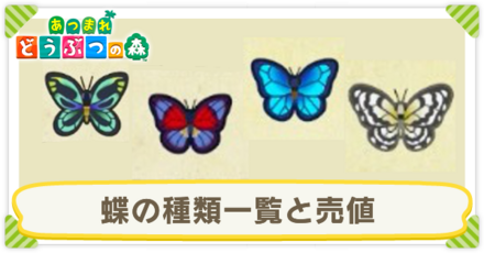 蝶の種類一覧と売値