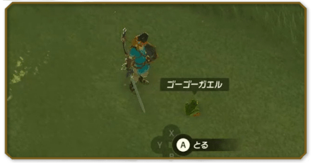 雨ときどきカエル