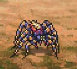 グルームウィドウ画像