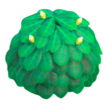 白いプルメリア