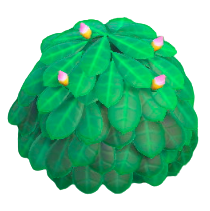 ピンクのプルメリア