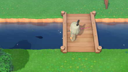 出ている魚を確認する