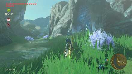 ブレワイのゾーラの石碑を探して攻略