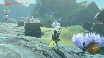 ブレワイのゾーラの石碑を探して攻略