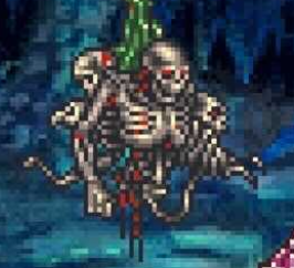 正体不明(骸骨)画像