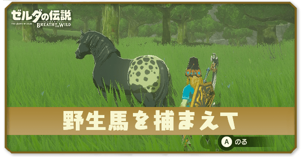 ブレワイの野生馬を捕まえて攻略
