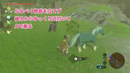 ブレワイの野生馬を捕まえて攻略