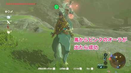 ブレワイの野生馬を捕まえて攻略