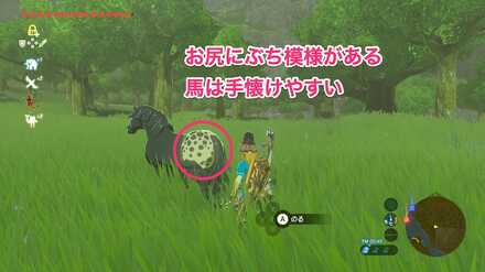 ブレワイの野生馬を捕まえて攻略