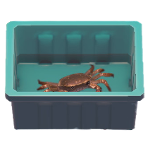 シャンハイガニ