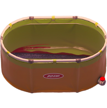 リュウグウノツカイ