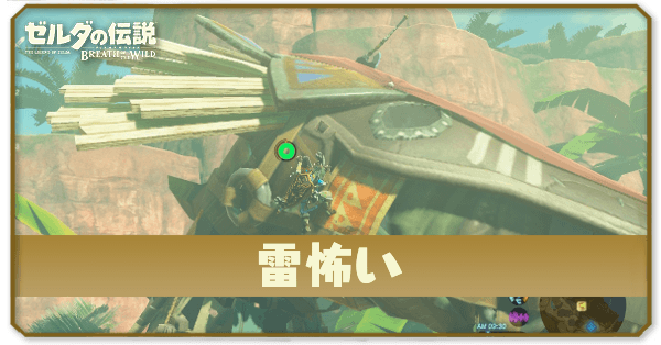 ブレワイの雷怖い攻略