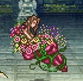 チャムキュビア画像