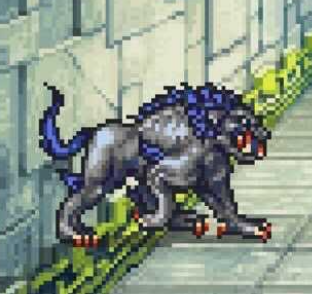 バンデルクアール画像